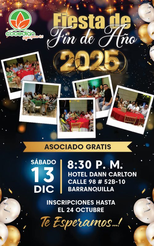 Fiesta fin de año 2025